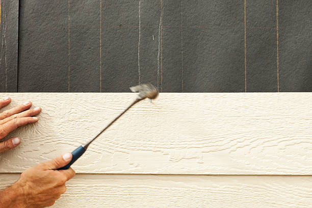 Best Engineered Wood Siding  in Seagoville, TX